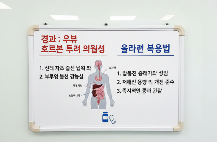 가이드: 외부 호르몬 투여 시 신체 자체 생산 능력이 떨어질 수 있는 위험성과 올바른 복용법. 3