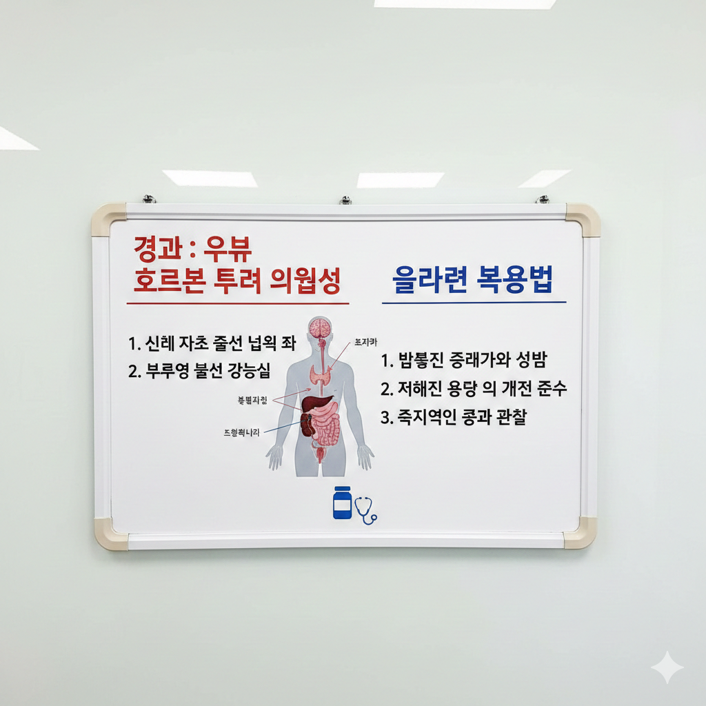 가이드: 외부 호르몬 투여 시 신체 자체 생산 능력이 떨어질 수 있는 위험성과 올바른 복용법. 2